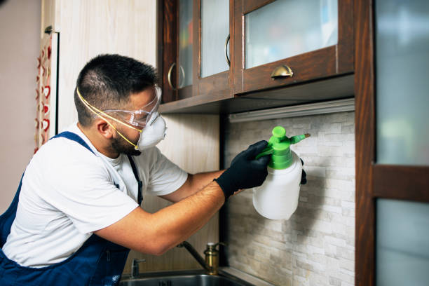 Best Bed Bug Extermination  in Sun Village, CA