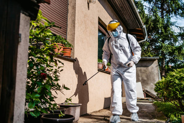 Best Residential Pest Control  in Sun Village, CA