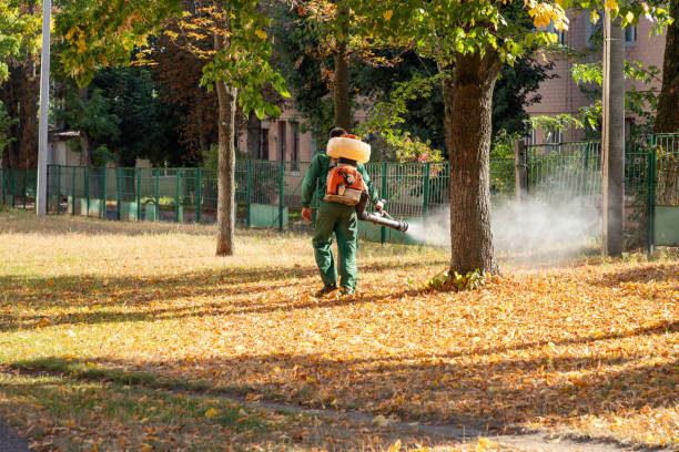 Best Commercial Pest Control Services  in Sun Village, CA